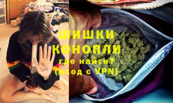 спайс Арсеньев