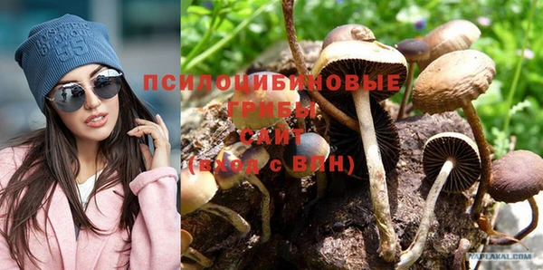 спайс Арсеньев