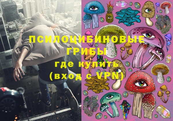 спайс Арсеньев