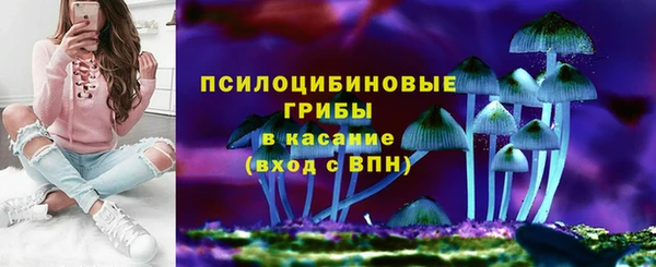 MESCALINE Аркадак