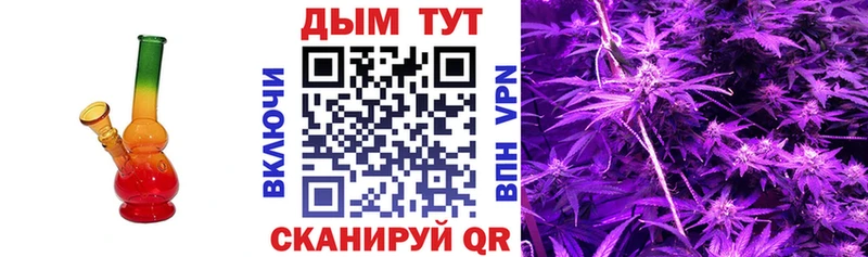 купить  цена  Аша  Марихуана Ganja 